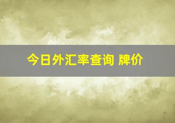 今日外汇率查询 牌价